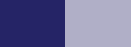 Theme Colors of Pui Tak Canossian College